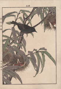 original Imao Keinen Japanese woodblock print birds and flowers 1885